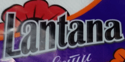 Слика за производителот Lantana